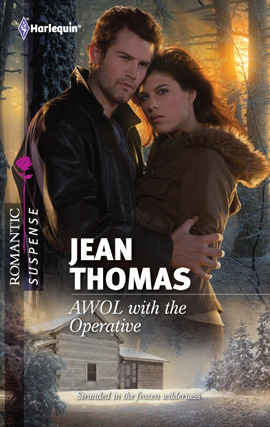 Cover image for AWOL with the Operative